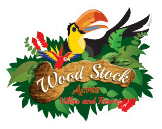 woodstock logo