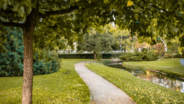 Nature Trails Image